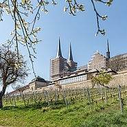 Weinberg mit der ehemaligen Klosterkirche. (© Lara Müller)